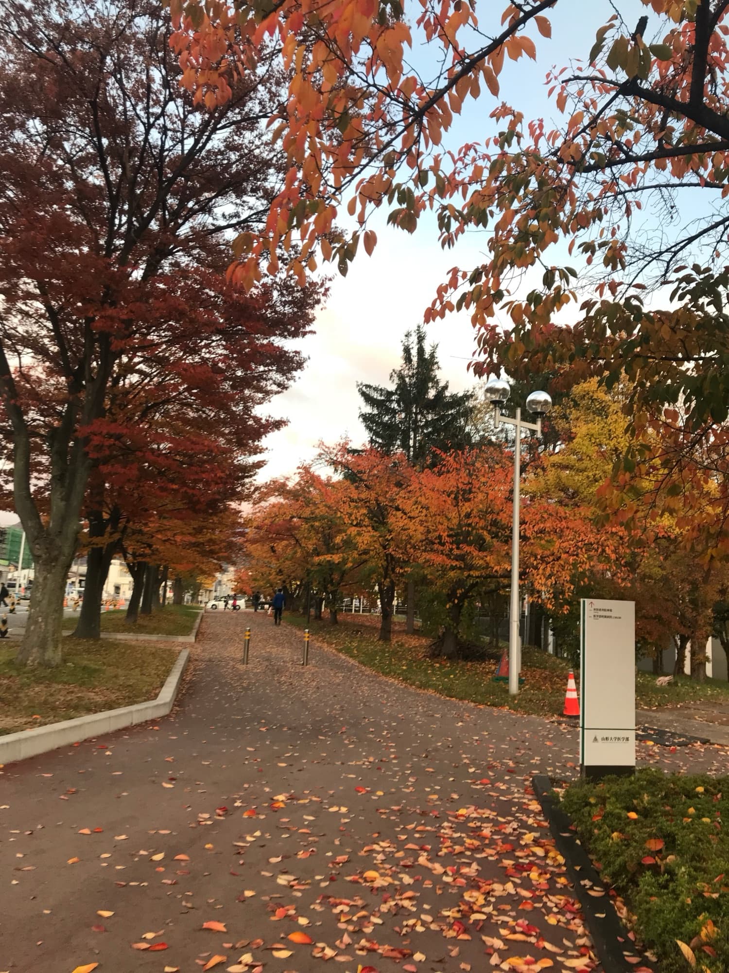Caminho arborizado no outono em um parque da cidade de Yamagata