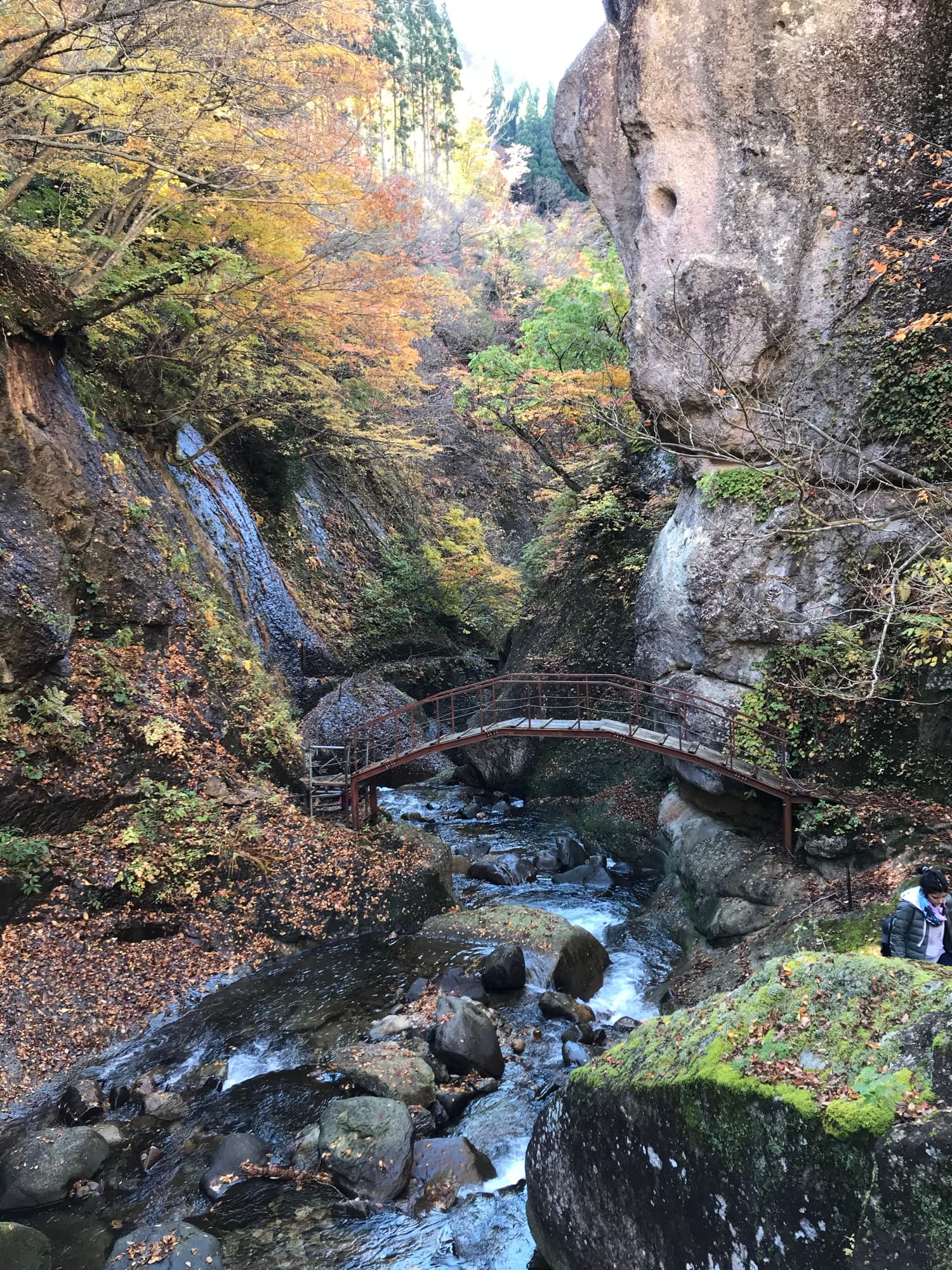 Ponte sobre o desfiladeiro de Omoshiroiyama, cercado por folhagem de outono